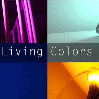 Projet Living Colors